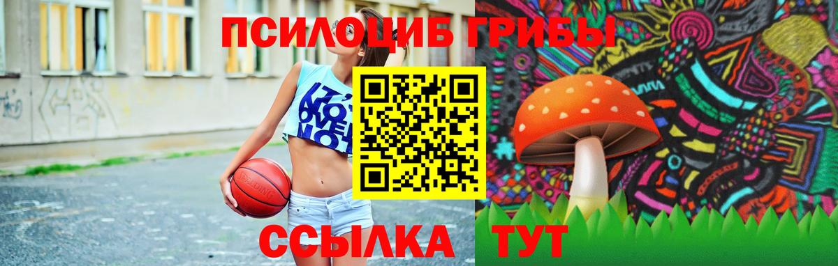 Псилоцибиновые грибы Psilocybine cubensis  Вход с VPN  Галлюциногенные грибы Psilocybine cubensis  Красноярск 